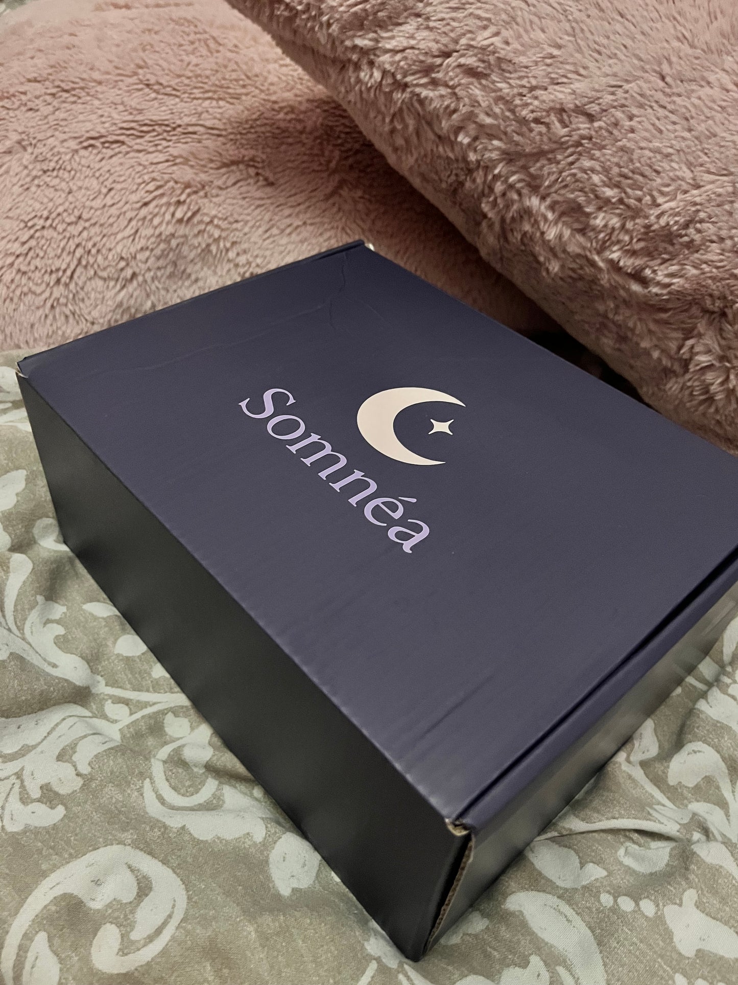 Box de rĂŞve đź’¤đź’
